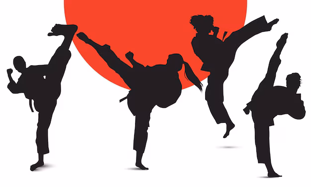 Taekwondo cover