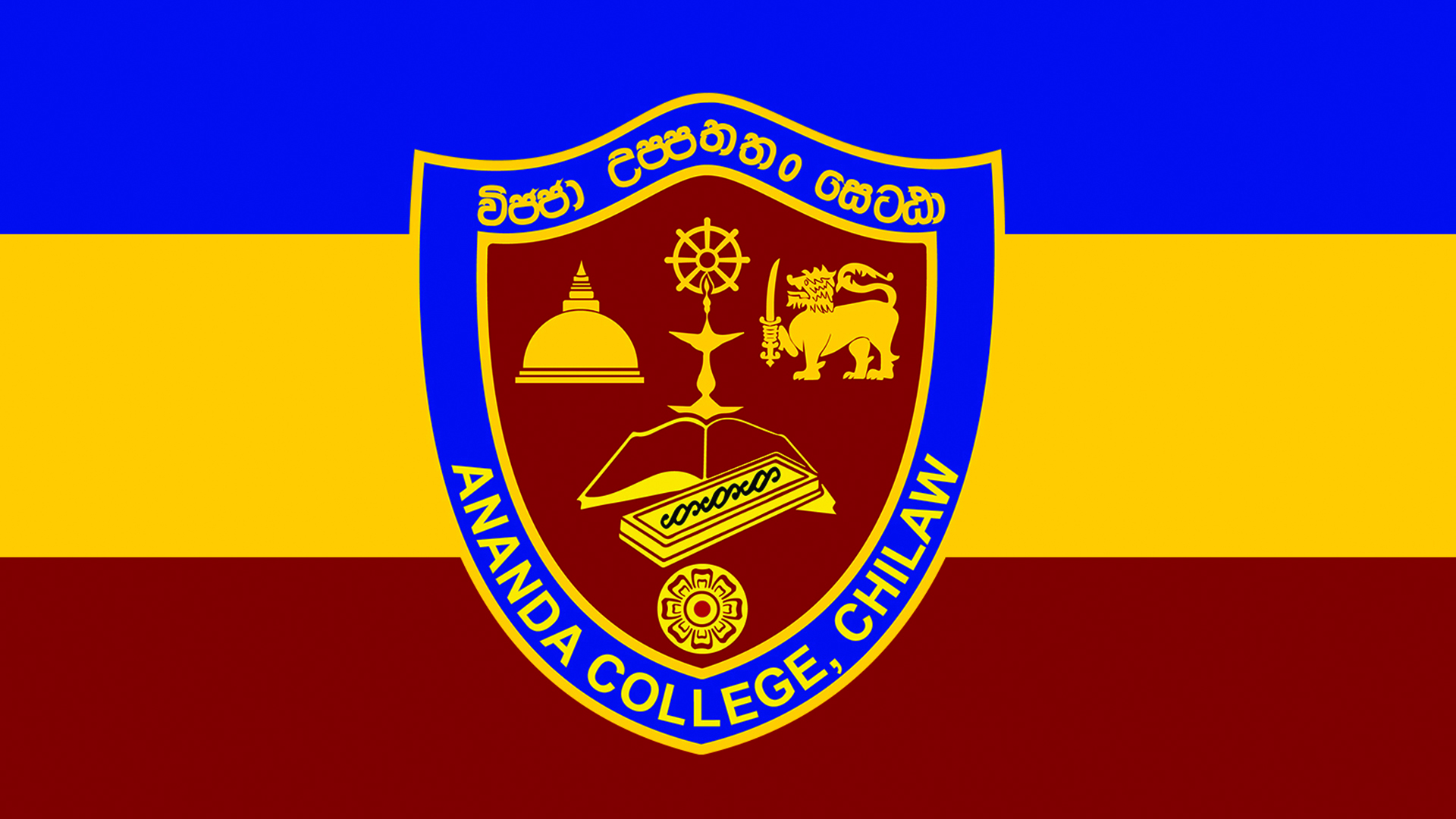 School Flag 